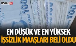 Asgari Ücret ve İşsizlik Maaşı Zammı Belli Oldu