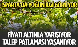 İlgi Artınca Talep Yoğunluğu Yaşanıyor