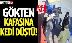 Kafasına kedi düşen adam neye uğradığını şaşırdı!