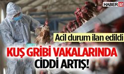 Kuş gribi vakalarında ciddi artış! Acil durum ilan edildi