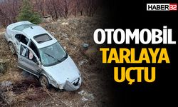 Otomobil tarlaya uçtu: Sürücü yaralandı