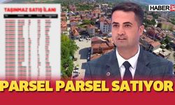 Parsel parsel satıyor