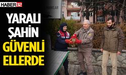 Yaralı Şahin, DKMP ekiplerine teslim edildi