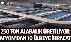 Alabalık Üretimi Yükseldi İhracat Avrupa'ya Açılıyor