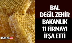 Bakanlıktan 11 Bal Markasına Taklit ve Tağşiş Uyarısı