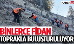 Binlerce fidan toprakla buluşturuluyor