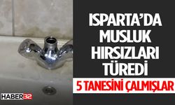 Kapalı Pazaryerinde Hırsızlık Olayı