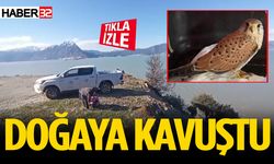 Tedavisi yapılan kerkenez kuşu doğaya salındı