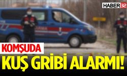 Komşuda kuş gribi alarmı! Karantina önlemleri alındı