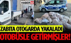 Otobüsle Taşıdılar, Zabıta Anında Müdahale Etti!