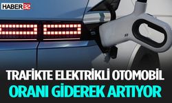 2024'te Elektrikli Otomobil Sayıları Artış Gösterdi