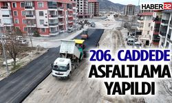 206. caddede asfaltlama çalışmaları yapıldı