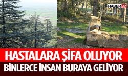 Hem Doğa Severler Hem de Sağlık İçin Ziyaret Ediyorlar