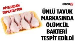 Ünlü Tavuk Firmasında Ölümcül Bakteri Tespit Edildi