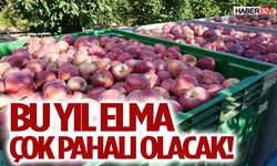 Bu Yıl Elma Çok Pahalı Olacak