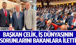 Başkan Çelik, İş Dünyasının Sorunlarını Bakanlara İletti