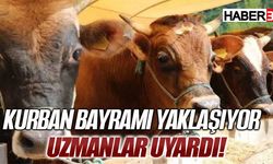 Kurban Bayramı Yaklaşıyor. Uzmanlar Uyardı!