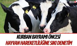 Kurban Bayramı Öncesi Hayvan Hareketliliğine Sıkı Denetim