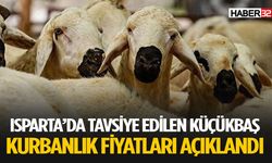2025 Yılı Canlı Kurbanlık Fiyatları Açıklandı