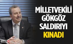 Milletvekili Gökgöz: "Şiddet her zaman kınanmalı"