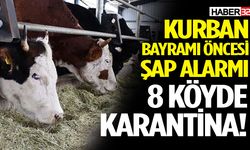 8 Köyde Karantina! Kurallara Uymayana 105 Bin TL Ceza