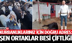 Kurbanlıklarınız İçin Doğru Adres, Şen Ortaklar Besi Çiftliği