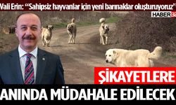 Vali Erin'den Sahipsiz Hayvanlarla İlgili Açıklama