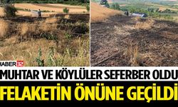 Buğday tarlasında çıkan yangın korkuttu