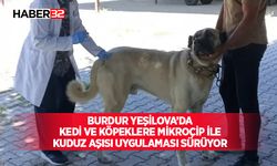 Burdur Yeşilova’da Kedi ve Köpeklere Mikroçip ile Kuduz Aşısı Uygulaması Sürüyor