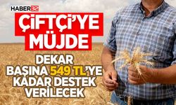 Dekar Başına 549 TL’ye Kadar Destek Verilecek