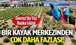 Davraz’da Gül Mevsimi Yeni Başlıyor
