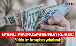 Emekli Promosyonunda Rekor