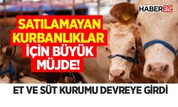 Satılamayan Kurbanlıklar İçin Büyük Müjde!