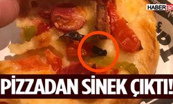 Taş fırından aldığı pizzada mide bulandıran görüntü!