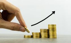 Portföy Yönetimi Nedir, Nasıl Yapılır?