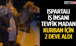 Ispartalı İş İnsanı Tevfik Madan Kurban İçin 2 Deve Aldı