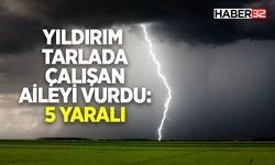 Yıldırım Tarlada Çalışan Aileyi Vurdu: 5 Yaralı