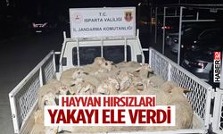 Hayvan hırsızları yakayı ele verdi
