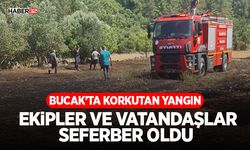 Korkutan Yangın: Ekipler ve Vatandaşlar Seferber Oldu