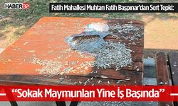 Fatih Mahallesi Muhtarı Fatih Başpınar’dan Sert Tepki: “Sokak Maymunları Yine İş Başında”