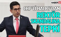 CHP’li Halıcı’dan Rektör Skandalına Tepki