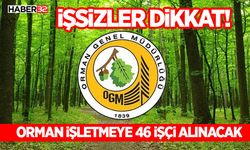 Orman İşletmeye 46 işçi alınacak