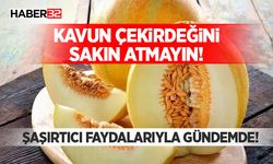 Kavun Çekirdeğini Sakın Atmayın!