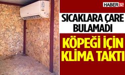 Köpeği için kulübeye klima taktırdı