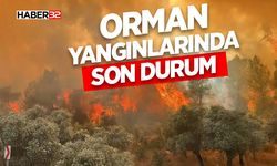 Orman yangınlarında son durum