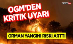 OGM'den Kritik Uyarı: Orman Yangını Riski Arttı