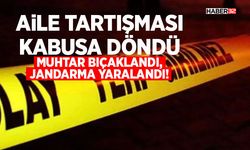Muhtar Bıçaklandı, Jandarma Yaralandı!