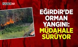 Eğirdir'de Orman Yangını: Müdahale Sürüyor