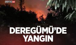 Deregümü’de Yangın- Ekipler Müdahale ediyor