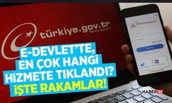 E-Devlet’te En Çok Hangi Hizmete Tıklandı? İşte Rakamlar!
